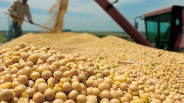 La AFIP secuestró más de 100 toneladas de soja sin declarar en Bragado