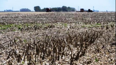 El riesgo de sequía se incrementó en diciembre y alcanza a 175 millones de hectáreas