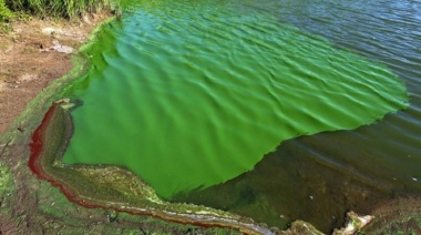 Alerta roja por cianobacterias en lagunas bonaerenses