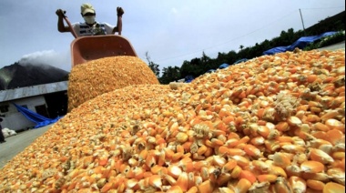 Las exportaciones de maíz alcanzaron un récord de 40,9 millones de toneladas