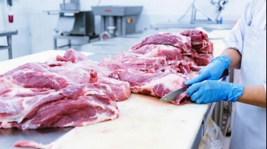 2024: Estiman una caída del 8,7 % en el consumo, la producción y las exportaciones de carne vacuna