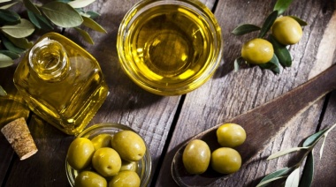 El territorio bonaerense se fortalece como productor de aceite de oliva de alta calidad