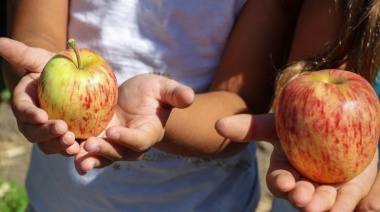 Educación y Salud avanzan con la implementación de la Ley de Alimentación Saludable en las escuelas